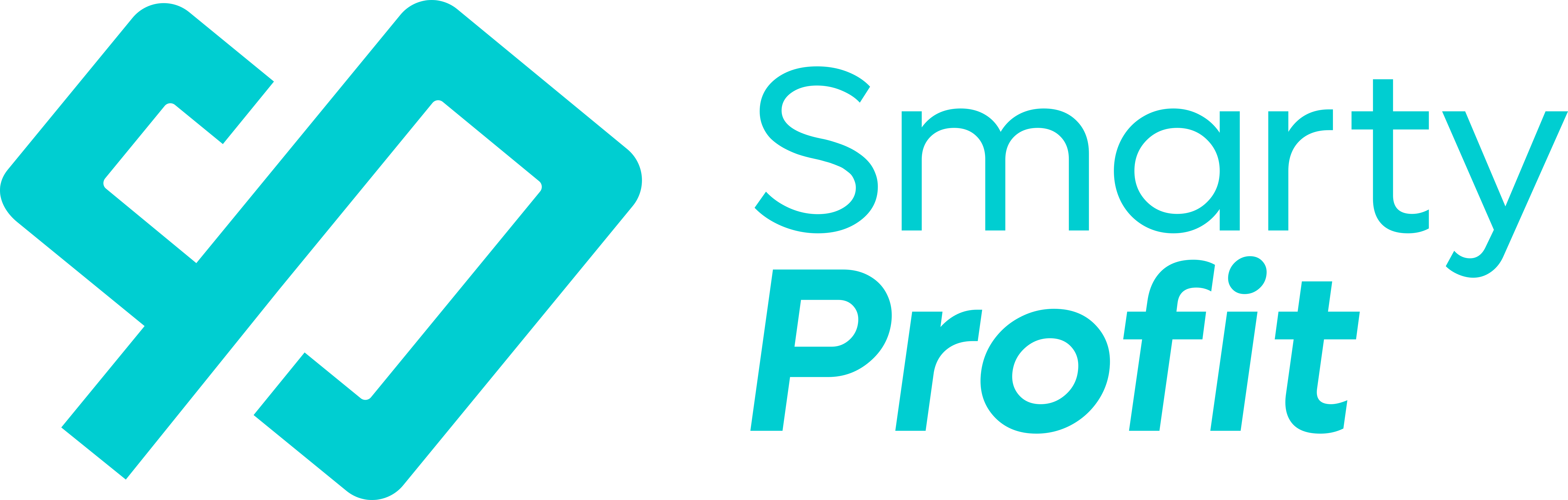 Profit 3.0